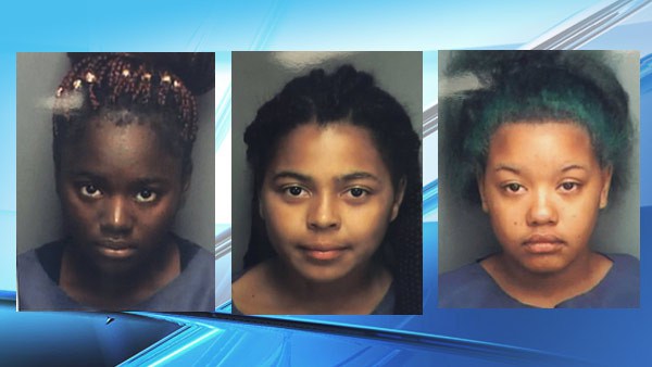 3 girls drowned florida